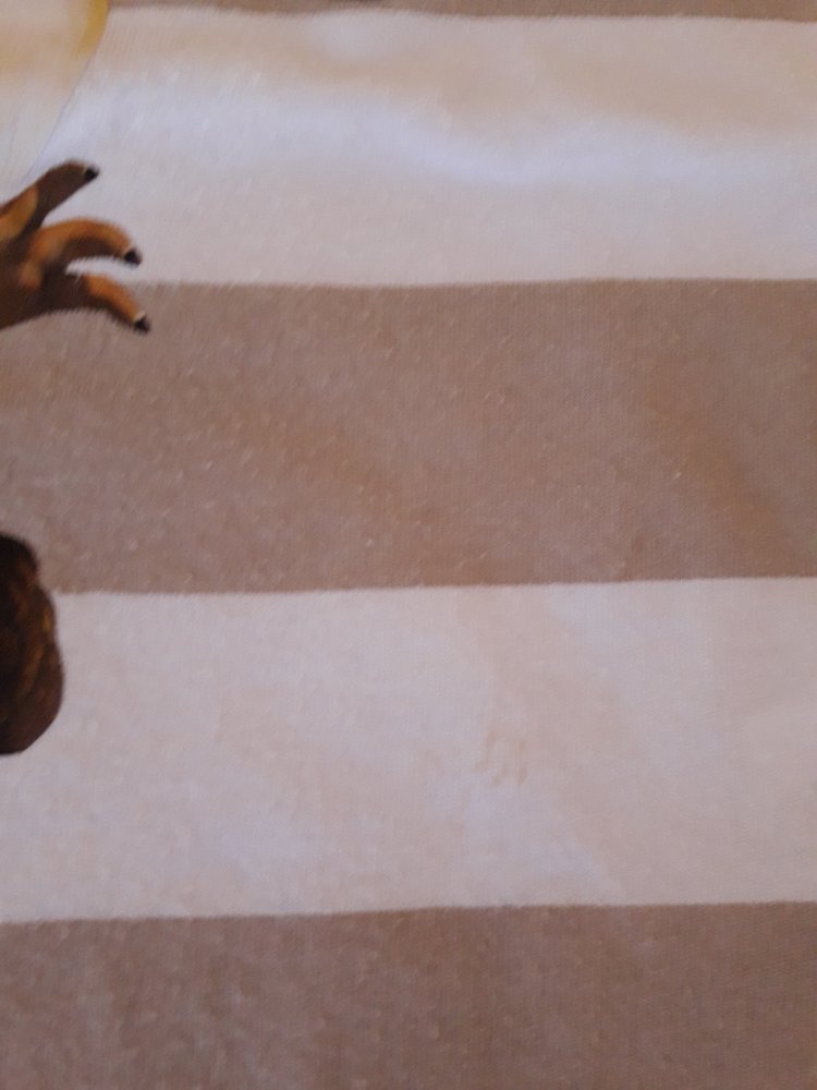 schönes Sommershirt von H&M in Gr. 110/116 mit Ice Age Motiv 