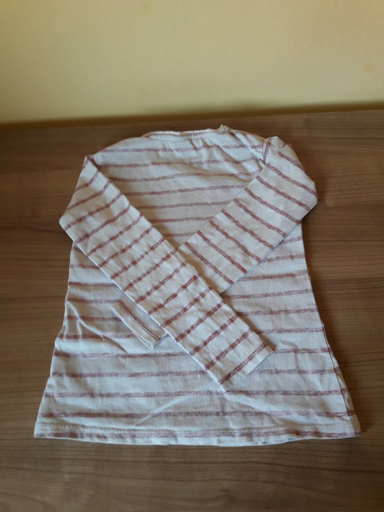 tolles Longsleeve von Zara in Gr. 110 mit Eifelturmmotiv