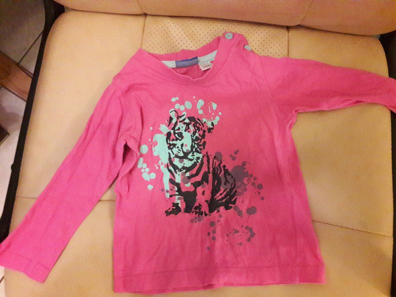 Langarmshirt Gr 74/80