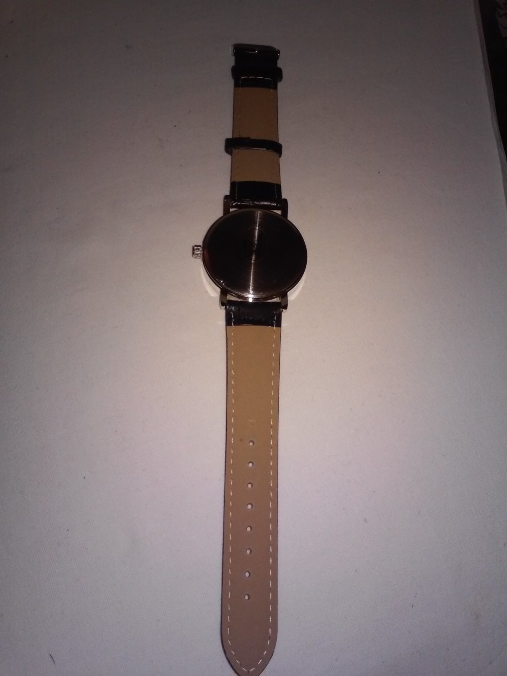 Neu! Eiger - Armbanduhr Herren Uhr (ideale Zweit-uhr)