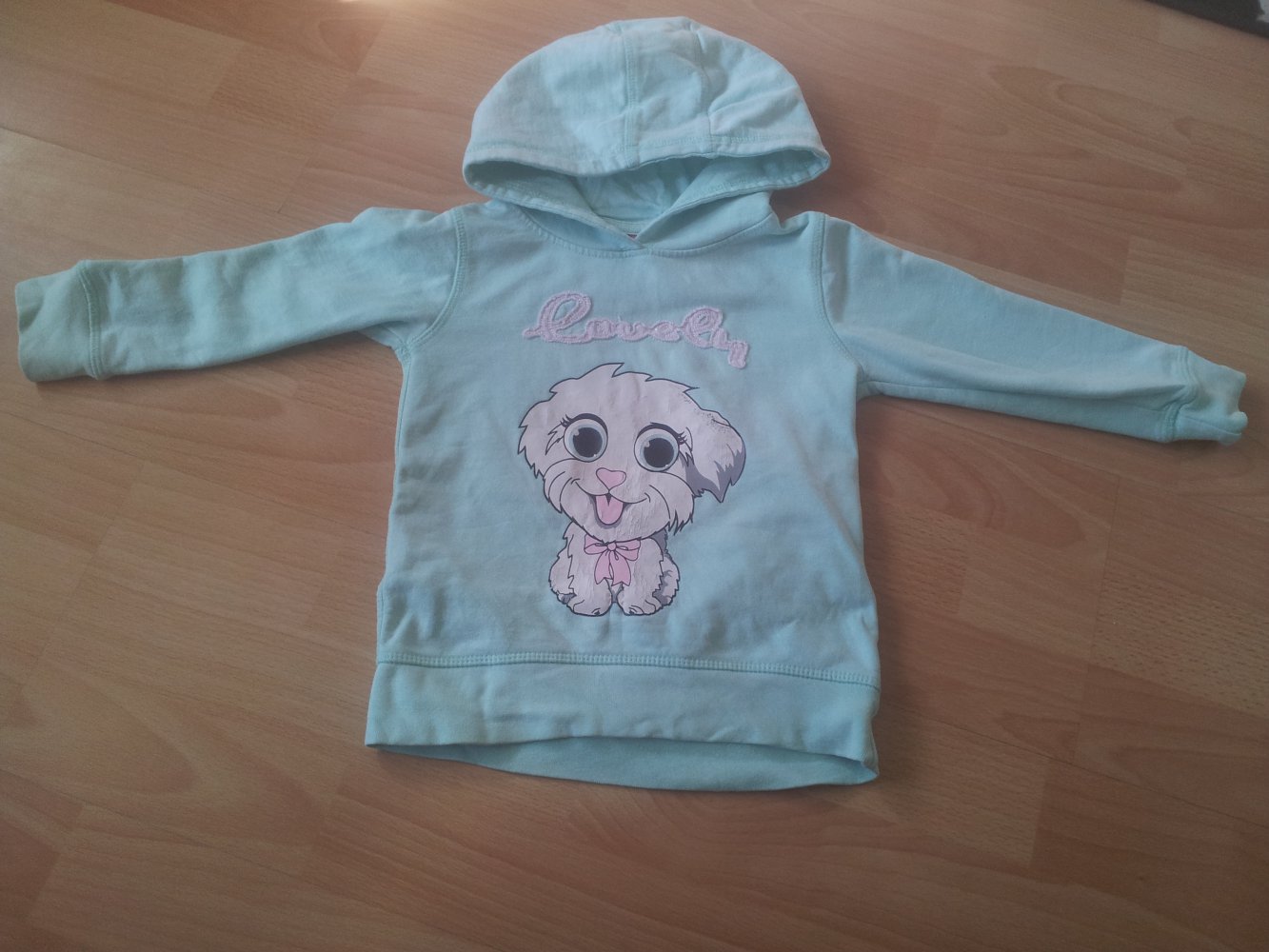 Kaputzenpullover türkis mint weiß Hund Gr. 104
