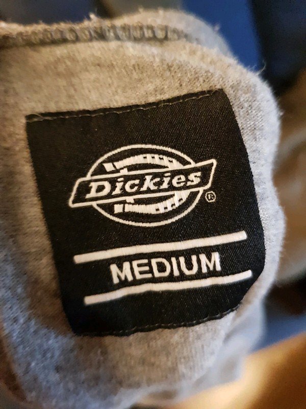 Graues langärmeliges T-Shirt von Dickies Skate Alternativ