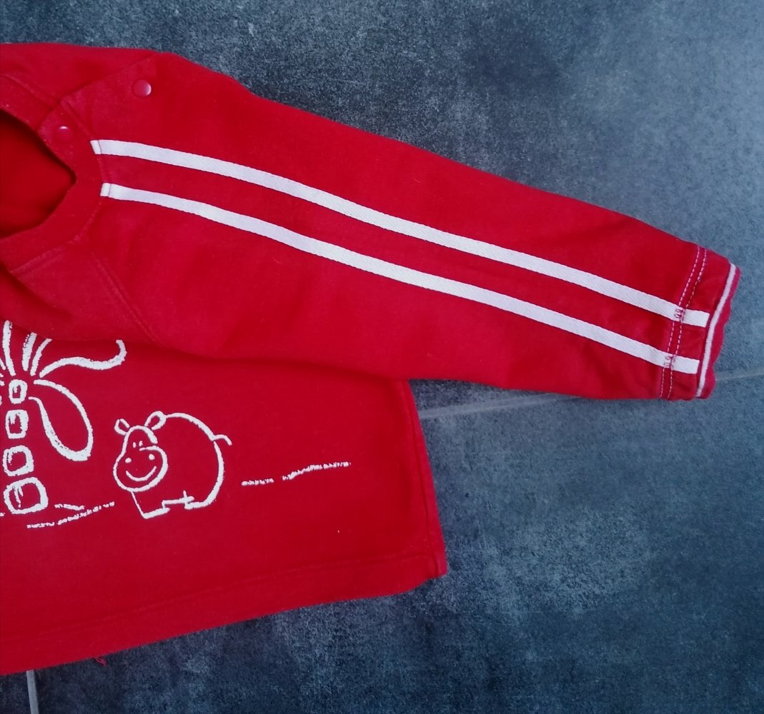roter Pulli