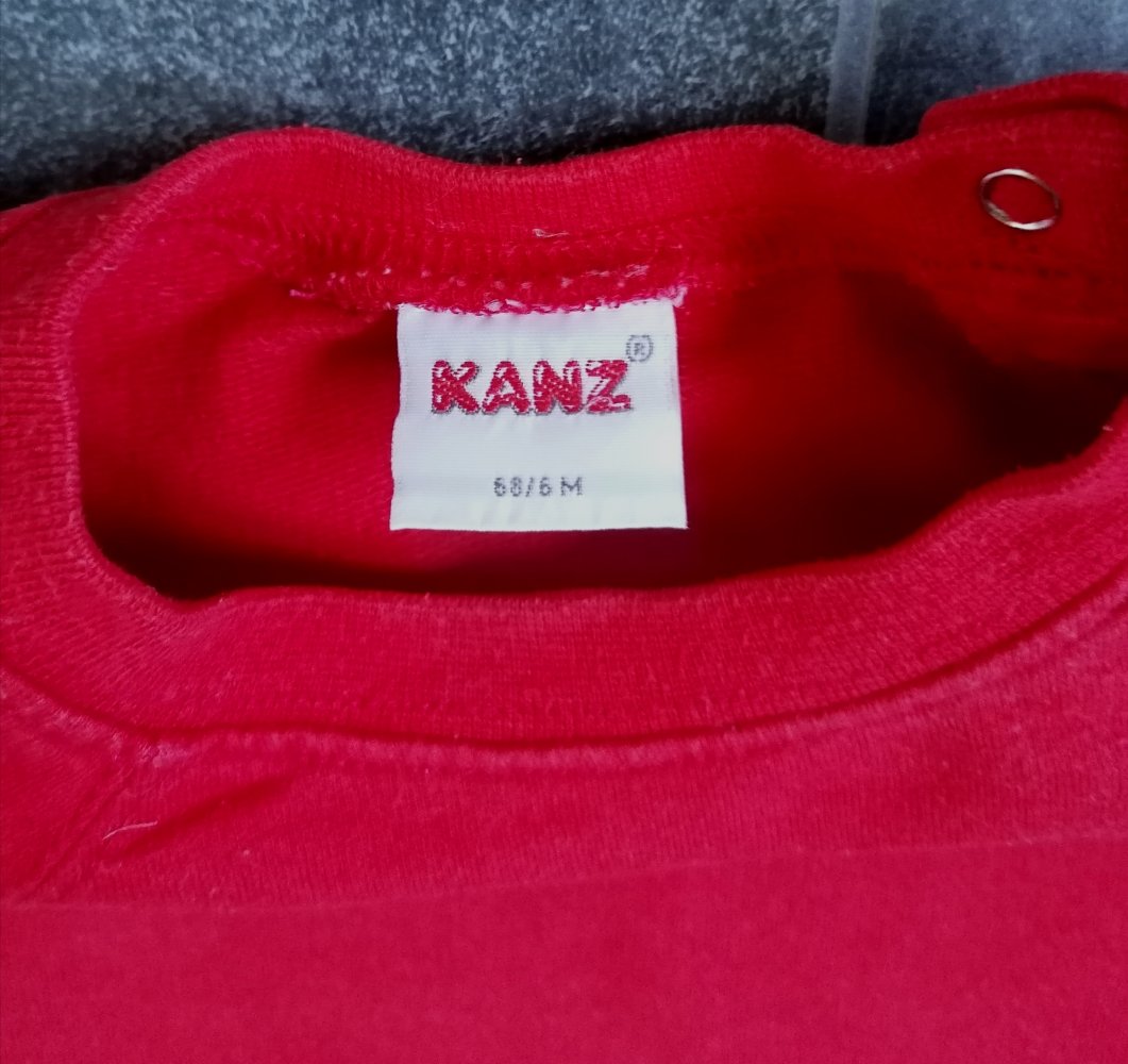 roter Pulli