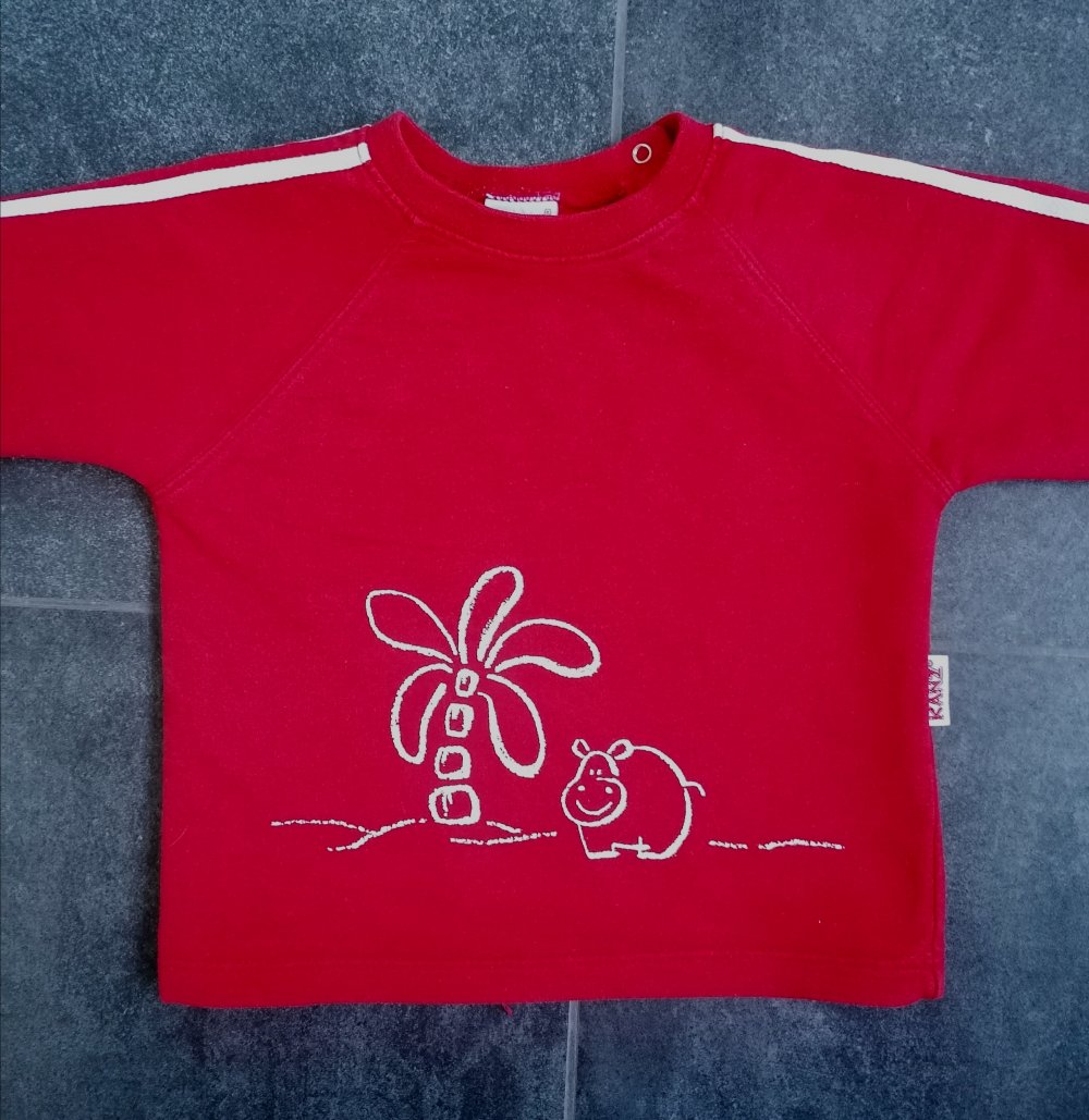 roter Pulli