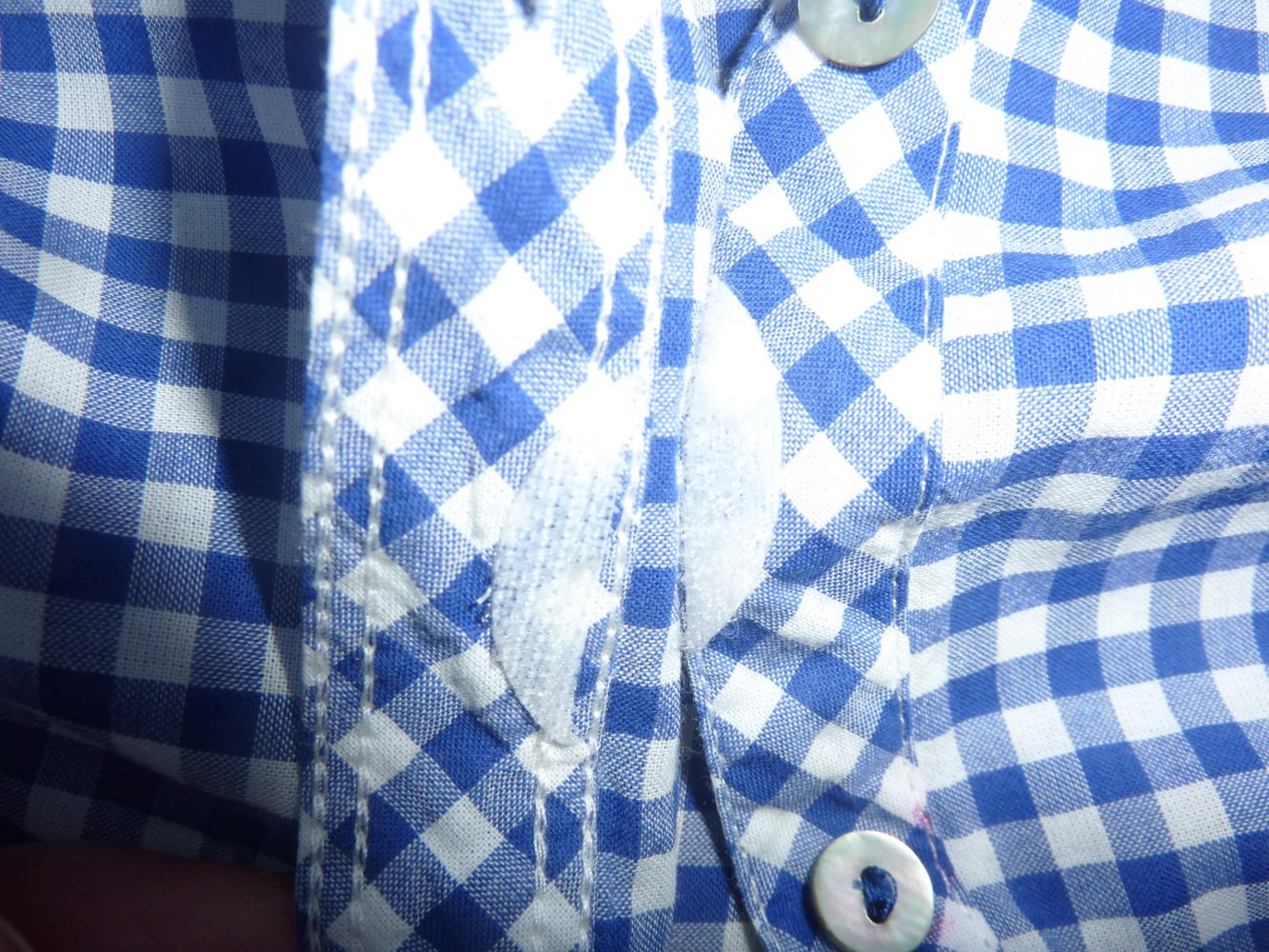 Bluse