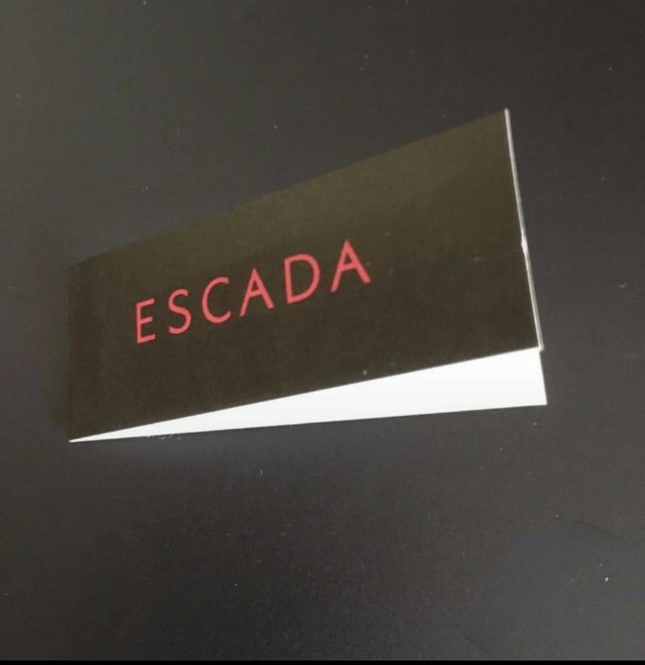 Escada handbag