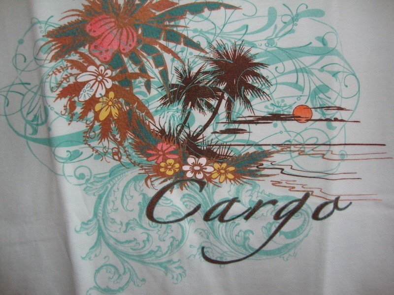T-Shirt Türkis von Cargo Sportscheck