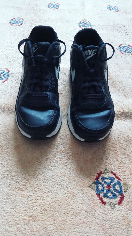 Nike Air Max