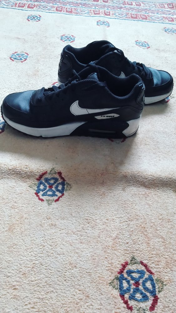 Nike Air Max