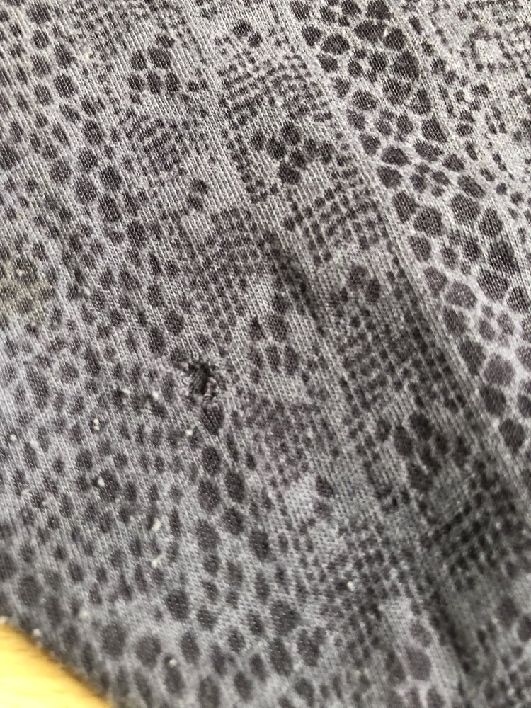 EDC halbtransparente Legging mit Spitzen-Print in grau, graublau, schwarz, Esprit