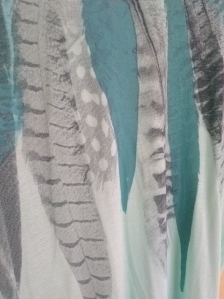 Shirt mit weitem Ausschnitt und Federprint