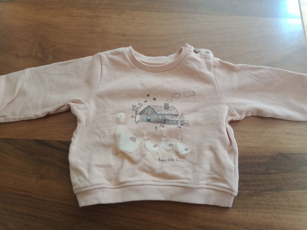 lachsfarbener Pulli Gänse