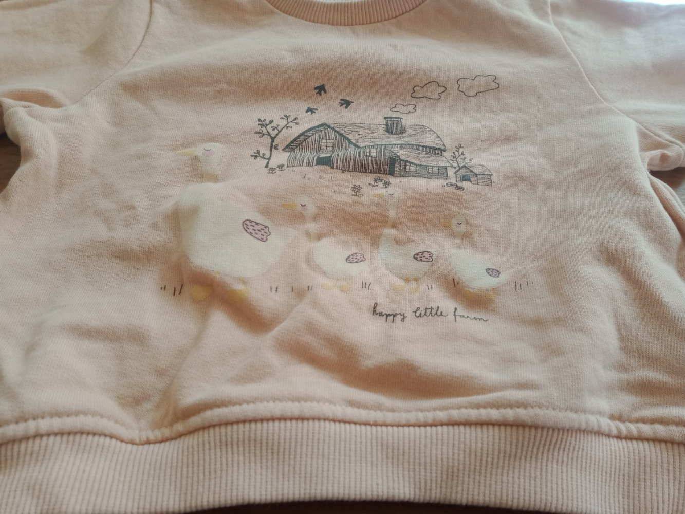 lachsfarbener Pulli Gänse