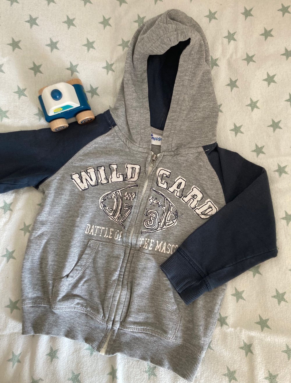 Hoodie/Sweatjacke
