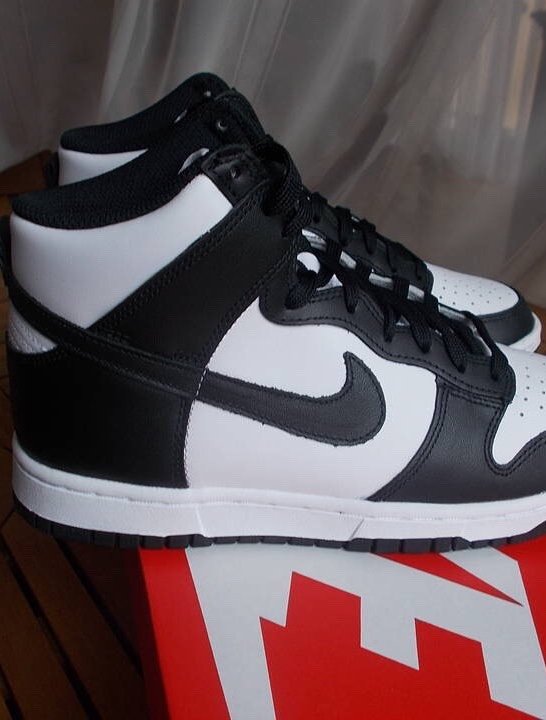 Nike dunk hight