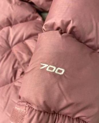 the north face 700