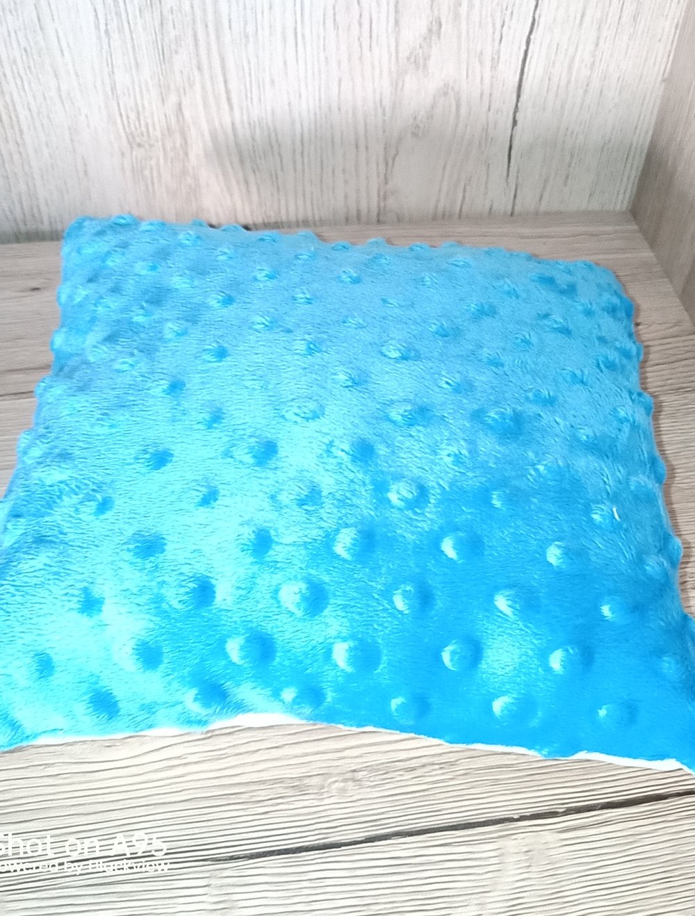 Kissen Kuschelkissen DIY Handmade Waschbär