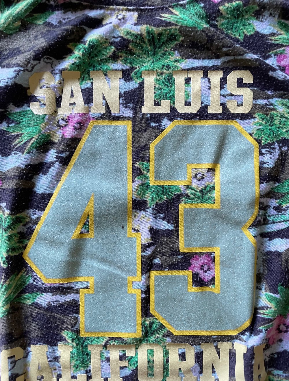 San Louis crop-top