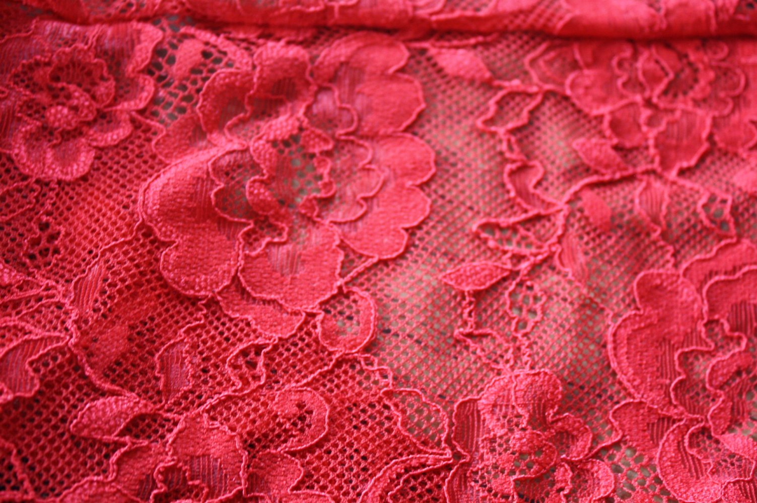 Body Blusenbody Spitzenbody S 36 Rosenmuster Rosenrot 