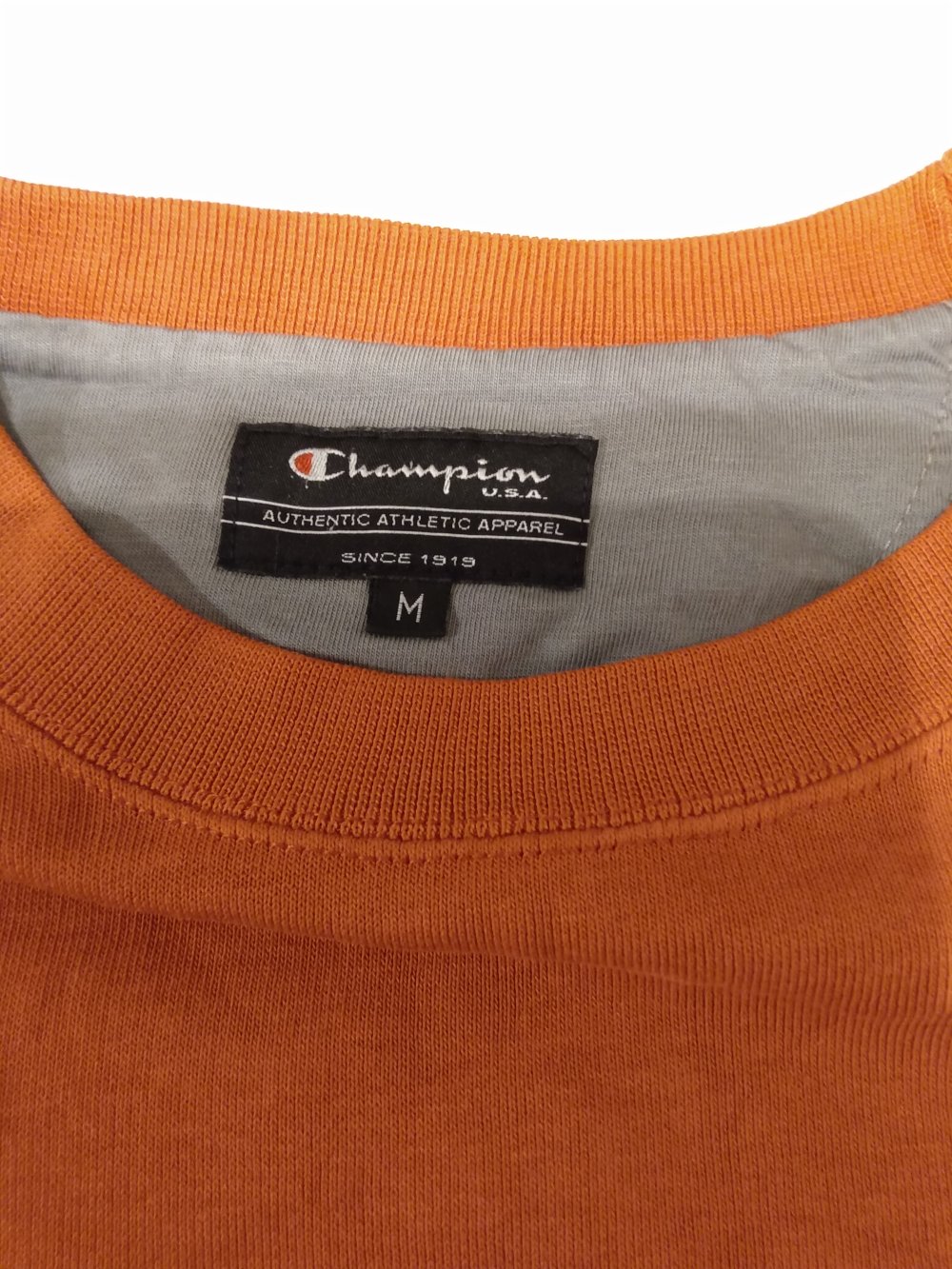 Champion Pullover