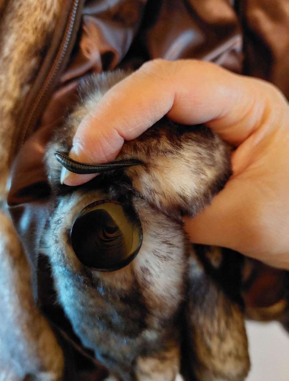 poncho Winterjacke