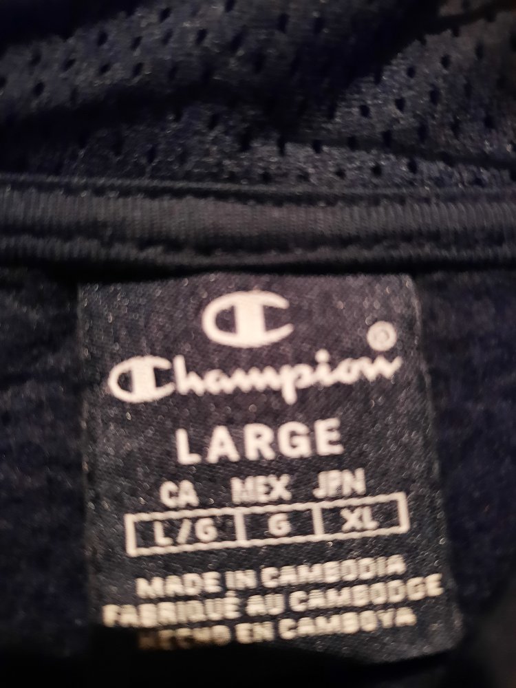 Hoodie Champion