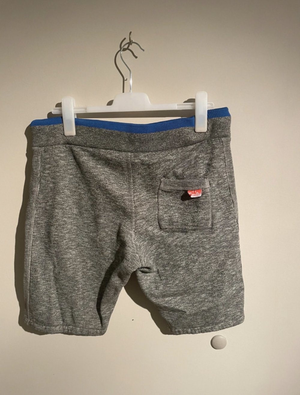 Superdry short