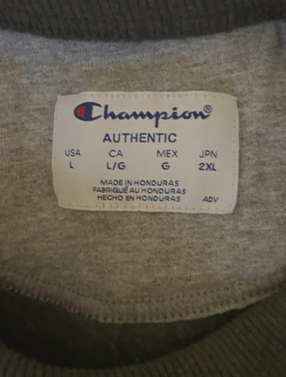 Campion Hoodie