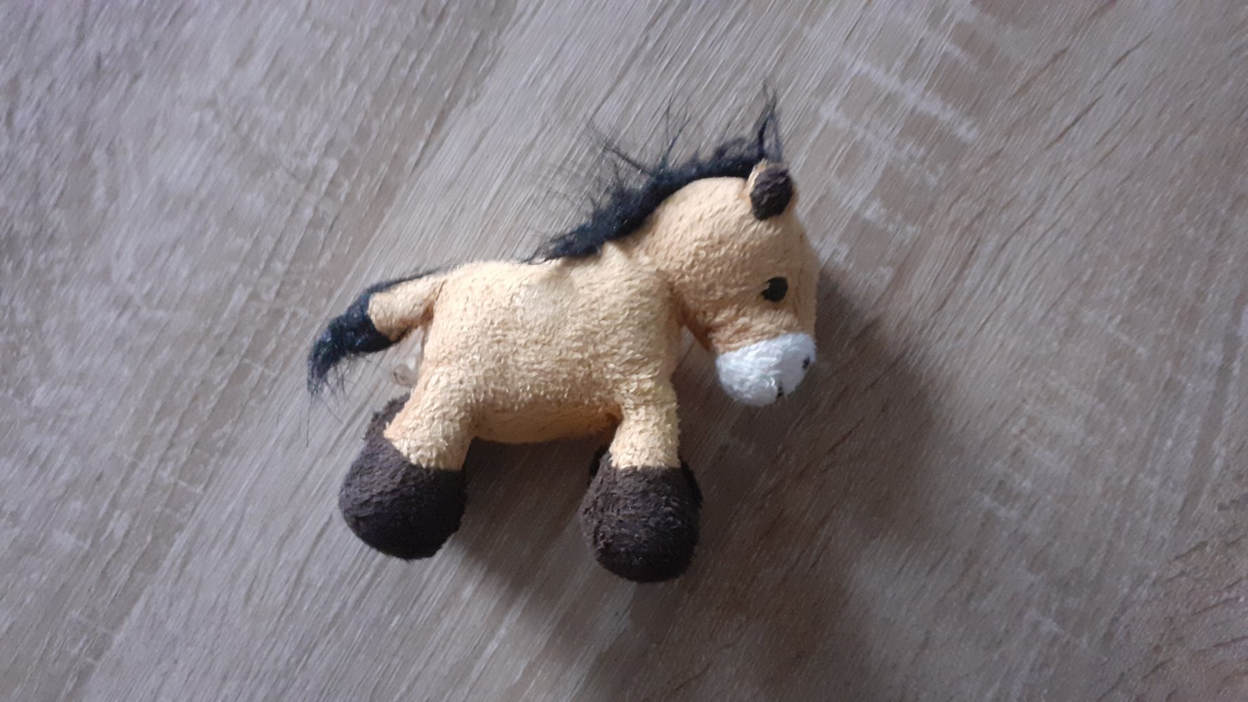 Federmäppchen und Pferdchen