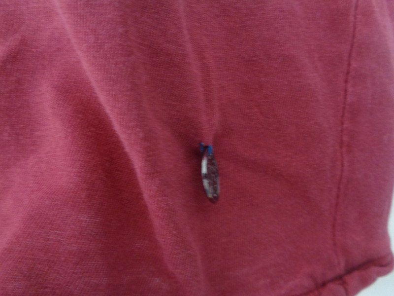 Shirt Gr. L