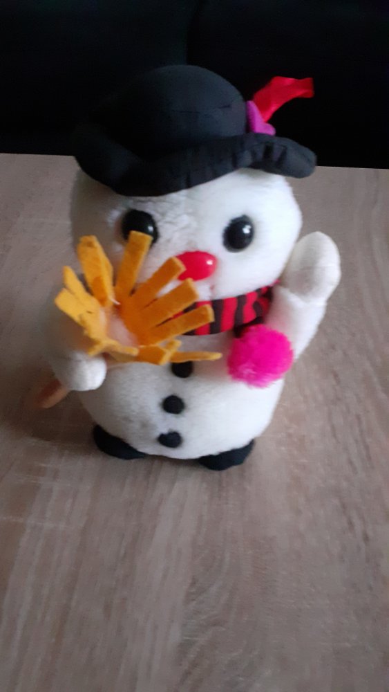 Schneemann und Pinguin