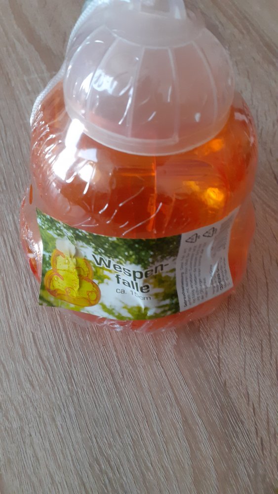 Wespenfalle 