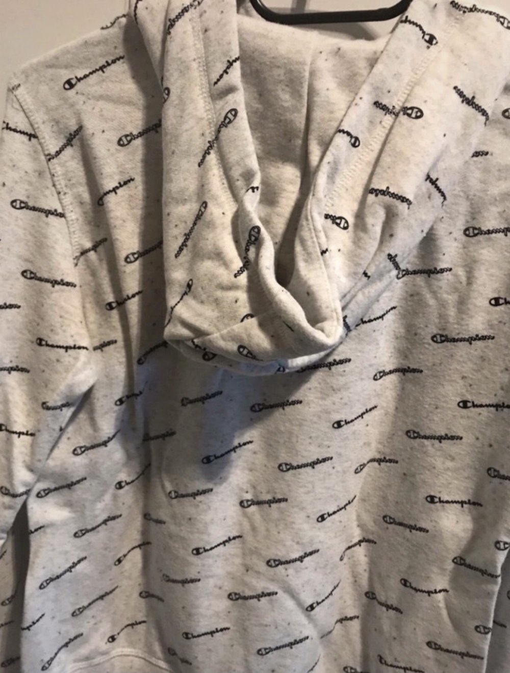 champion Hoodie