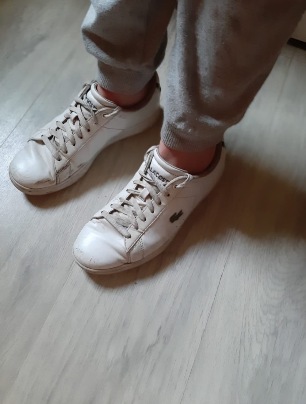 Lacoste Sneaker