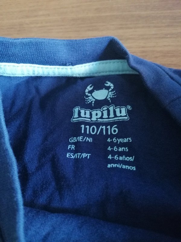Blaues Shirt mit Aufdruck - Gr. 110/116 - lupilu