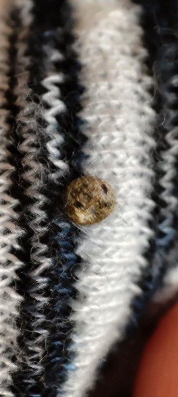 A-Linien Rock, kuschelig-weich