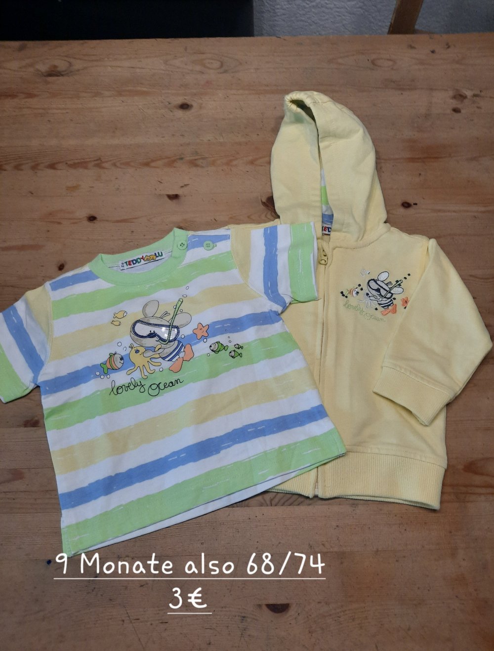 set aus tshirt und weste