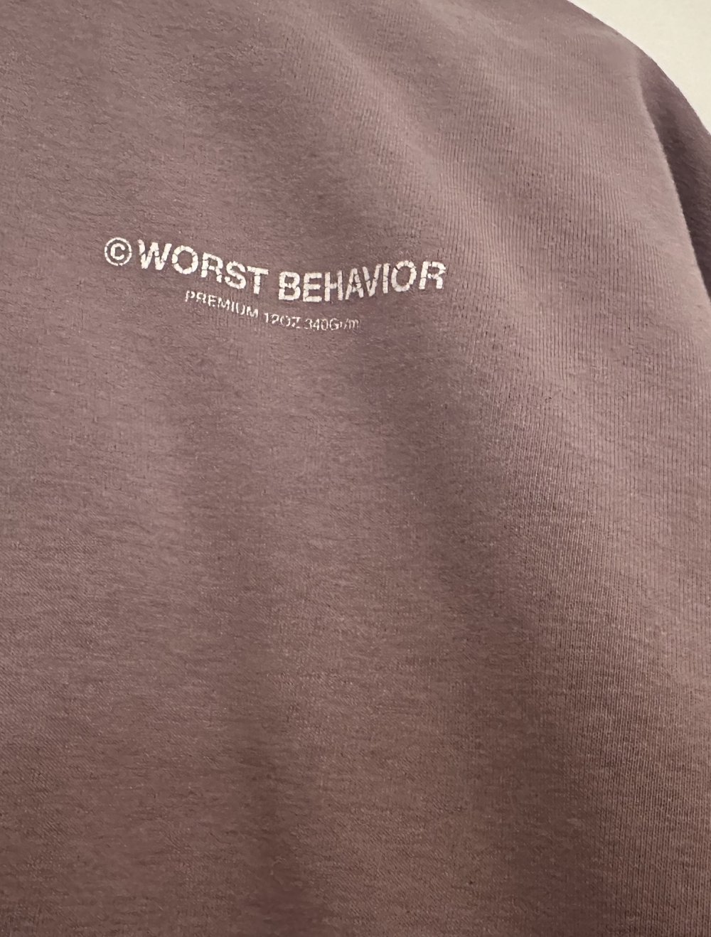WRSTBHVR Hoddie