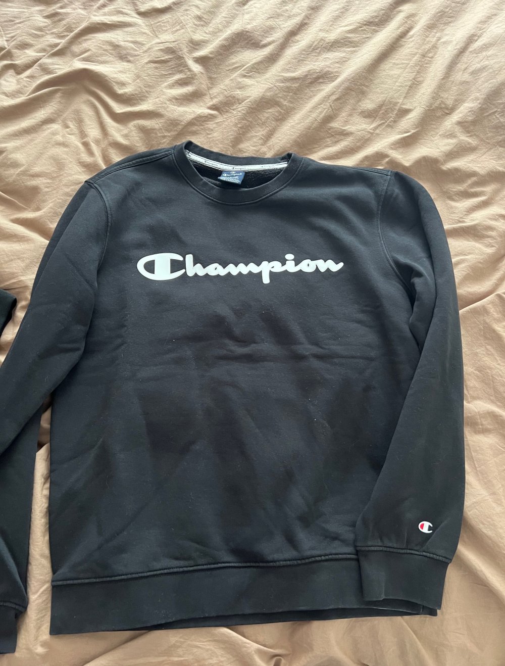 Champion Pullover