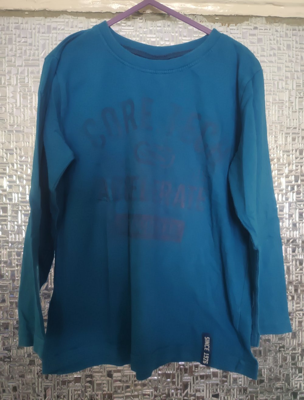 Sweatshirt in 110