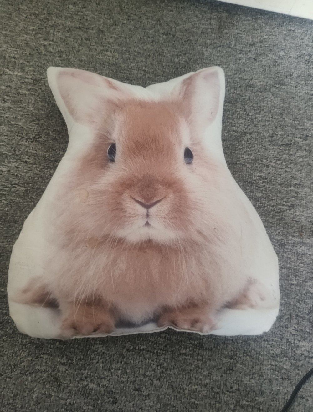 Kuscheltier Kuschelkissen NKD