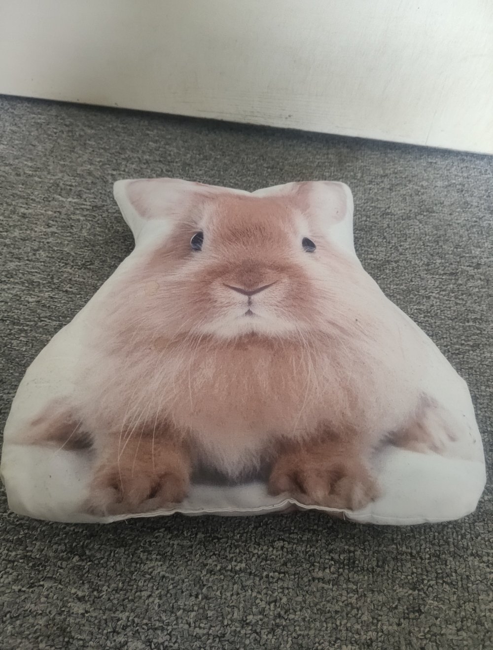 Kuscheltier Kuschelkissen NKD