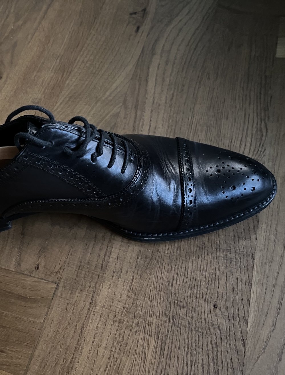 Herrenschuh Sergio Rossi
