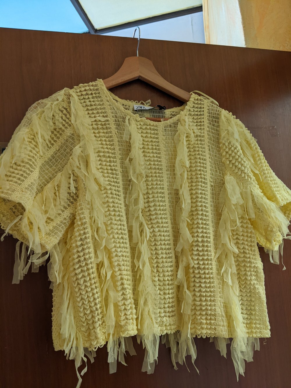 ZARA Top