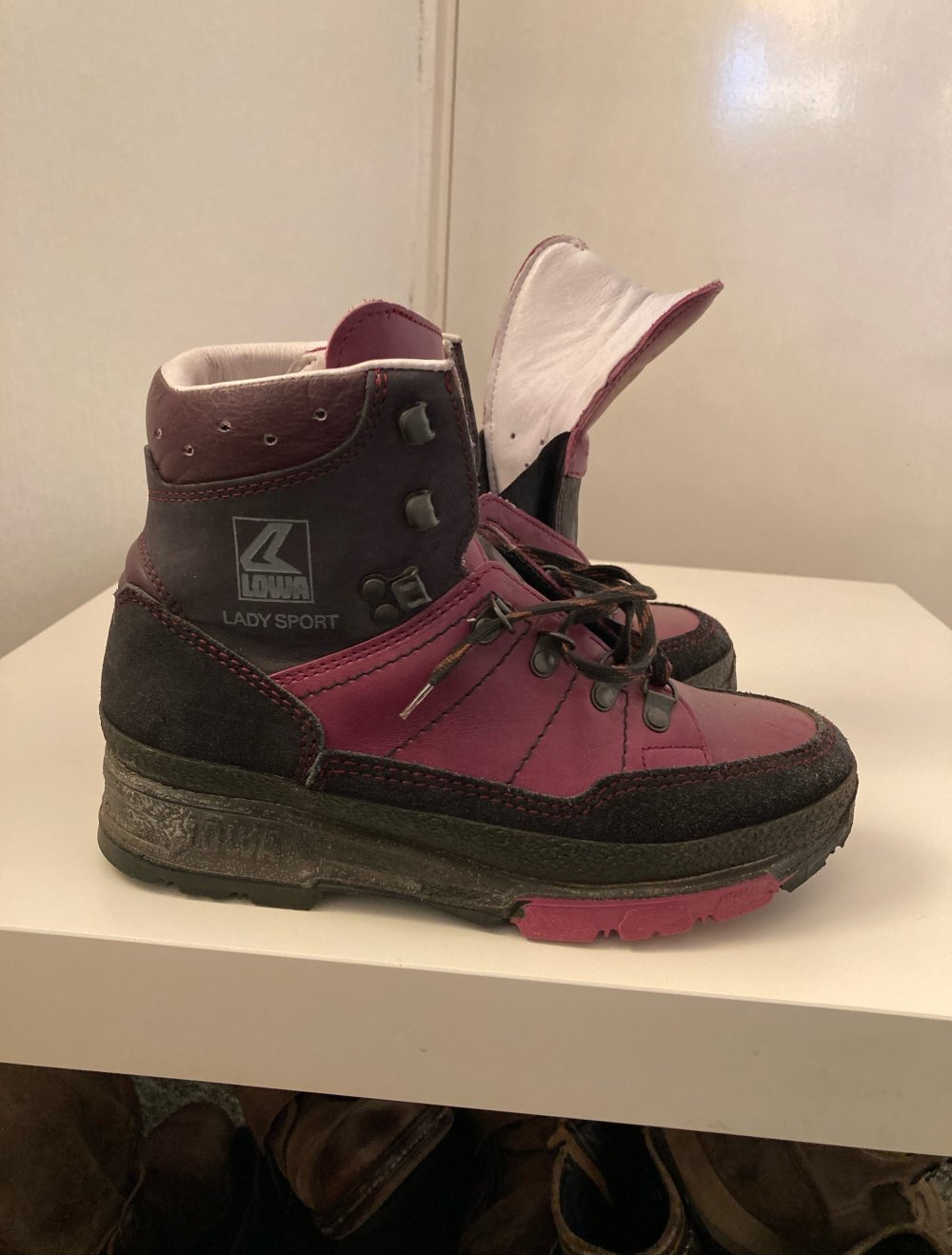 Lowa Boots