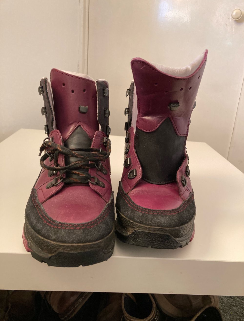 Lowa Boots
