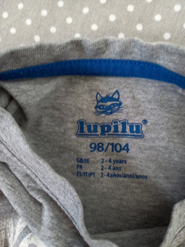 TOP! Lupilu Shirt Gr 98/104, Junge, Print, Waschbär, grau, Kurzarm, Sommer