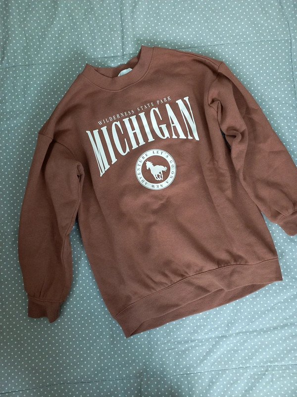 NEUWERTIG! H&M Kuschel Sweat Pulli Gr 134/140, Mädchen, warm, braun, Print, Herbst, Winter, College