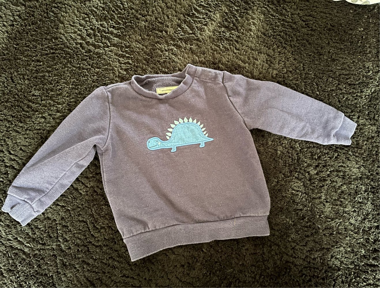 Dino Pullover gr 74